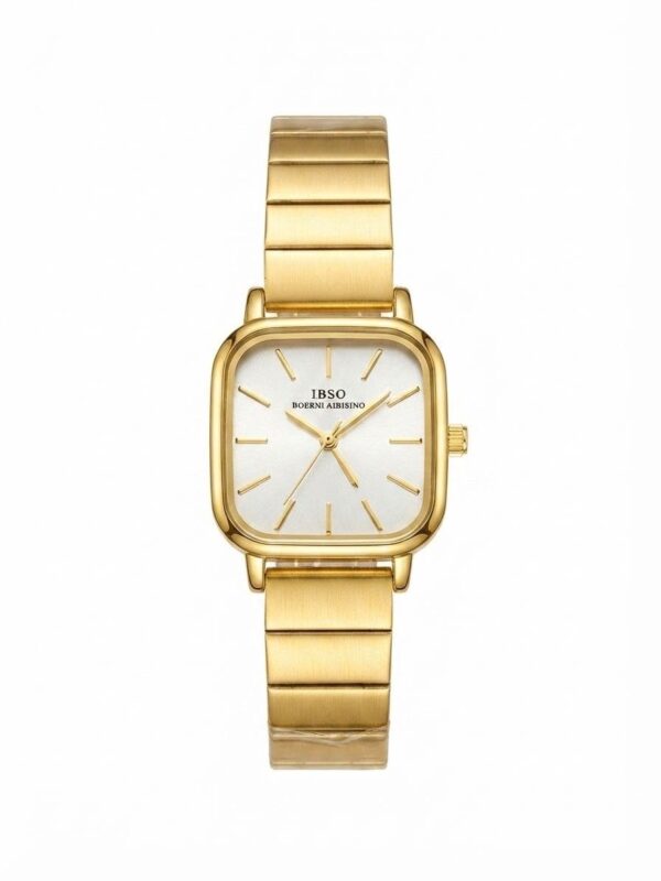 IBSO watch