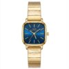 IBSO watch