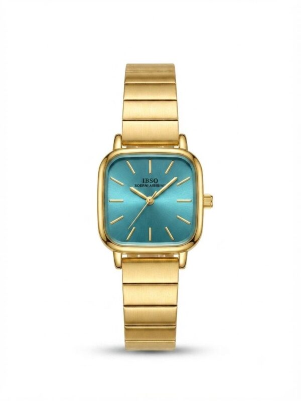 IBSO watch