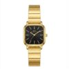 IBSO watch