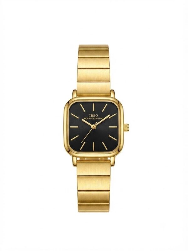 IBSO watch