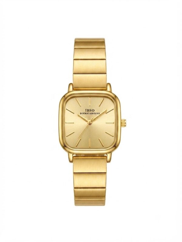 IBSO watch