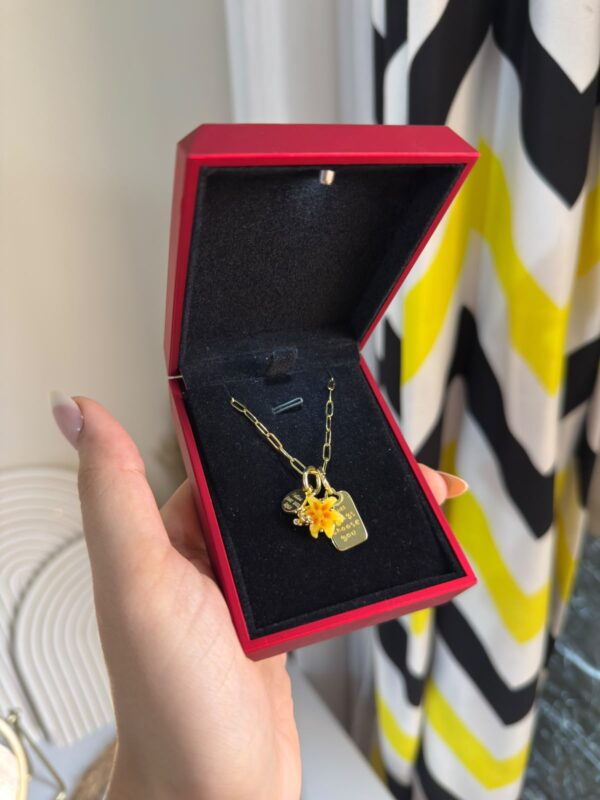 Beauty necklace